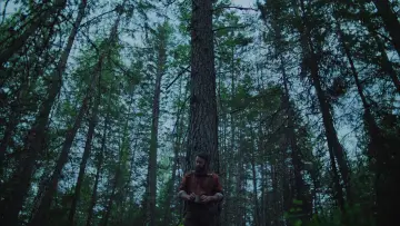 Zasłona do filmu "Sny o pociągach" #1825455
