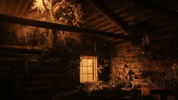 Zasłona do filmu "Sny o pociągach" #1922592