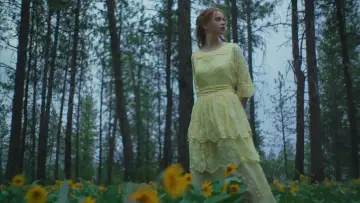 Zasłona do filmu "Sny o pociągach" #514842
