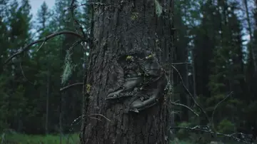 Zasłona do filmu "Sny o pociągach" #514906