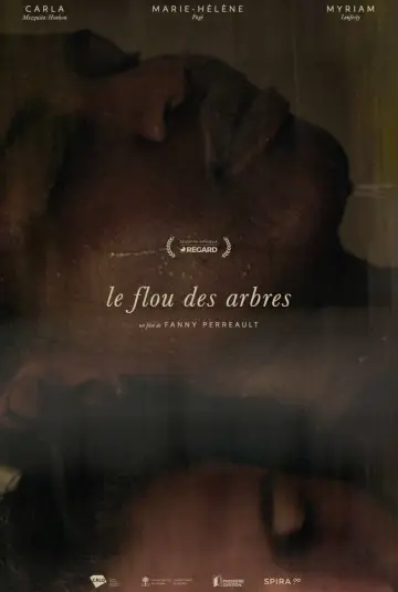 Le flou des arbres plakat