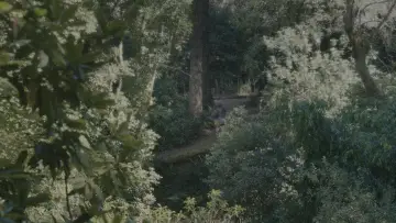 Zasłona do filmu "Razem" #527882