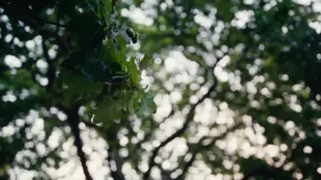 Zasłona do filmu "Razem" #527927