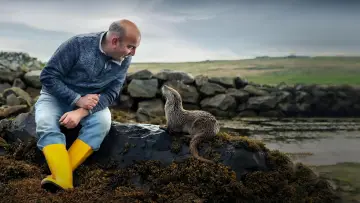 Zasłona do filmu "Billy & Molly: An Otter Love Story" #1015071