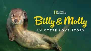 Zasłona do filmu "Billy & Molly: An Otter Love Story" #1015075