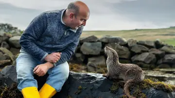 Zasłona do filmu "Billy & Molly: An Otter Love Story" #1015076