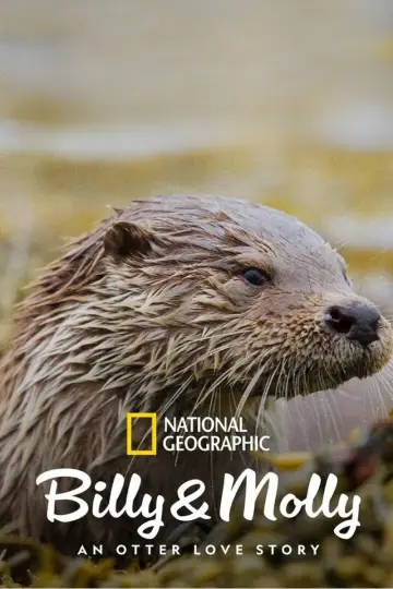 Plakat do filmu "Billy & Molly: An Otter Love Story" #1015083