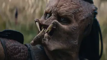 Zasłona do filmu "Predator: Strefa zagrożenia" #507665