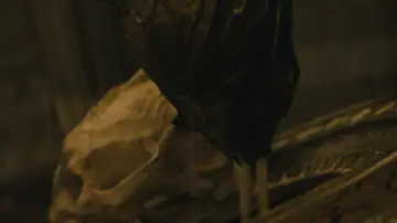 Zasłona do filmu "Predator: Strefa zagrożenia" #507813