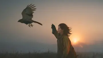 Zasłona do filmu "H Is for Hawk" #535660