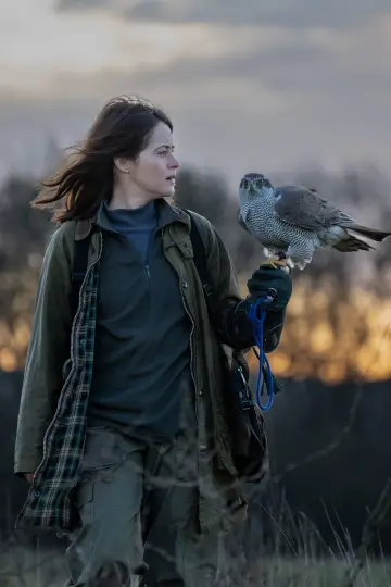 Plakat do filmu "H Is for Hawk" #535670