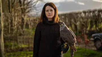 Zasłona do filmu "H Is for Hawk" #911914