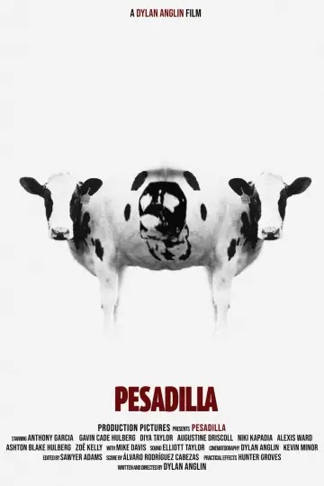 Plakat do filmu "Pesadilla" #430408