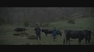Zasłona do filmu "El molino" #416391