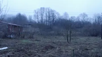 Zasłona do filmu "Ljuštura" #1015871