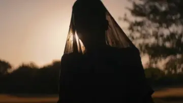 Zasłona do filmu "Kobieta w ogrodzie" #612740