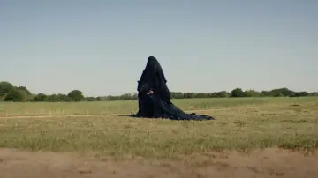 Zasłona do filmu "Kobieta w ogrodzie" #612746