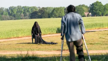 Zasłona do filmu "Kobieta w ogrodzie" #612756