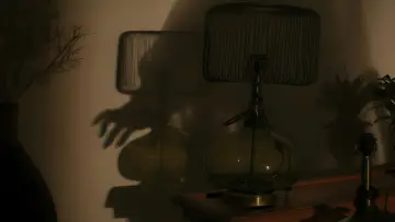 Zasłona do filmu "Kobieta w ogrodzie" #612761