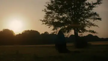 Zasłona do filmu "Kobieta w ogrodzie" #612763