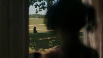 Zasłona do filmu "Kobieta w ogrodzie" #612767