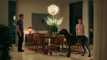 Zasłona do filmu "Paw zwyczajny" #729604