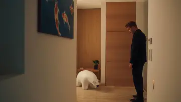 Zasłona do filmu "Paw zwyczajny" #729607