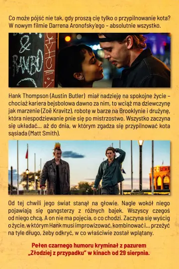 Plakat do filmu "Złodziej z przypadku" #528023
