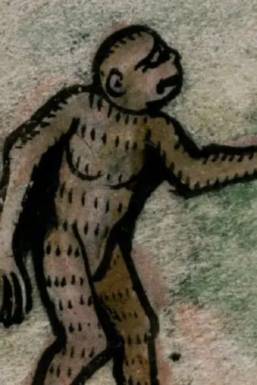 Neighboring Animals plakat