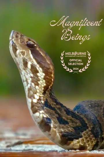 Plakat do filmu "Magnificent Beings" #1015944