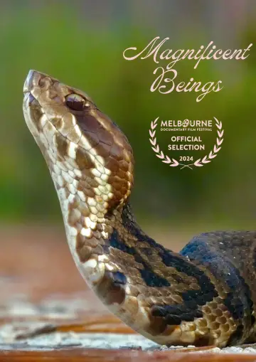 Plakat do filmu "Magnificent Beings" #1015945