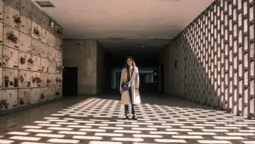 Zasłona do filmu "La llegada del hijo" #717360