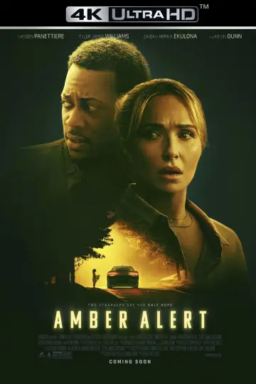 Plakat do filmu "Amber Alert" #649322