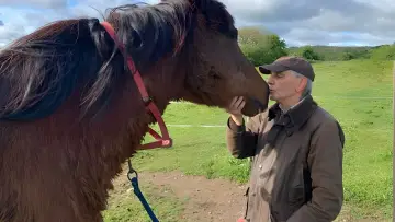 Zasłona do filmu "Axel Kahn, chronique d