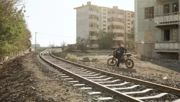 Zasłona do filmu "Czarny pies" #600708