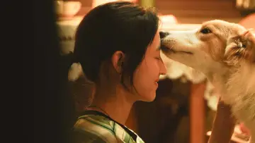 Zasłona do filmu "我会好好的" #1765626