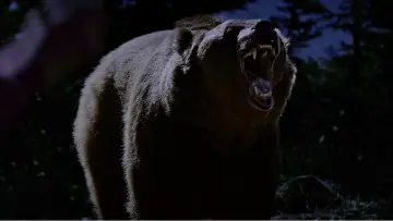 Zasłona do filmu "Grizzly Night" #516505