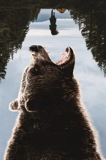 Plakat do filmu "Grizzly Night" #516570