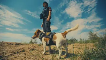 Zasłona do filmu "My, nasze zwierzęta i wojna" #1055350