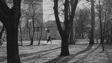 Zasłona do filmu "Esperanza H." #431229
