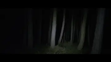 Zasłona do filmu "Μην ανοίγεις την πόρτα" #473604