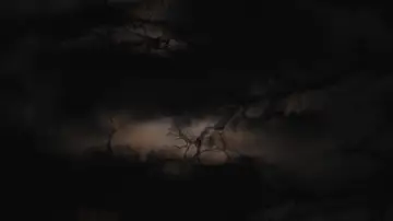 Zasłona do filmu "It