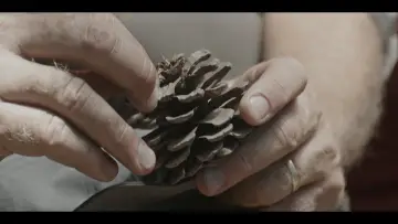 Zasłona do filmu "סוקצסיה" #453493