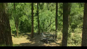 Zasłona do filmu "סוקצסיה" #453495
