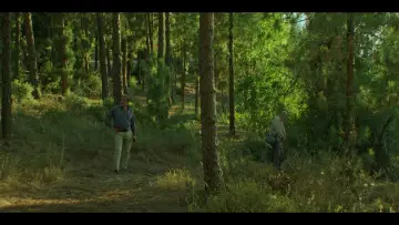 Zasłona do filmu "סוקצסיה" #453496