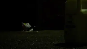 Zasłona do filmu "Death of a Salesman: A DELTARUNE Short FIlm" #739608