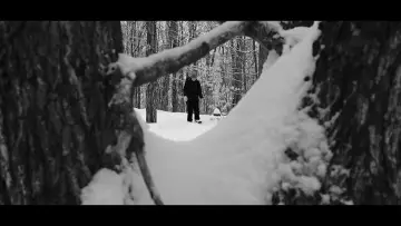 Zasłona do filmu "Echoes Of Ivory" #467559