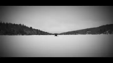 Zasłona do filmu "Echoes Of Ivory" #467560
