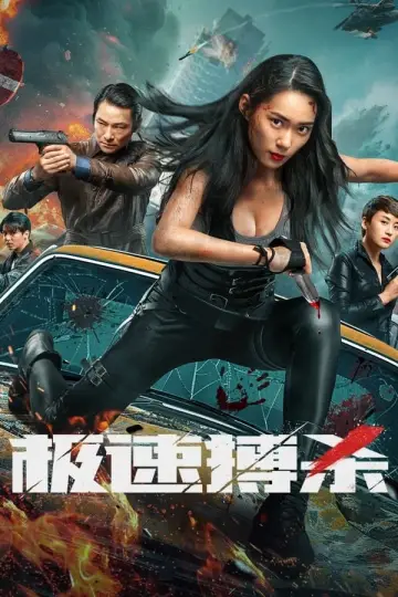 极速搏杀 plakat