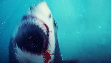 Zasłona do filmu "Bull Shark 2" #739575